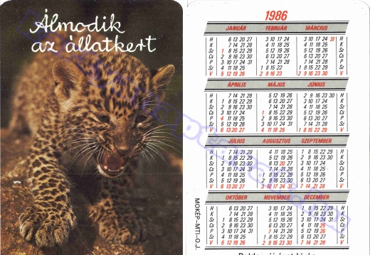 Minden állat - Each animal